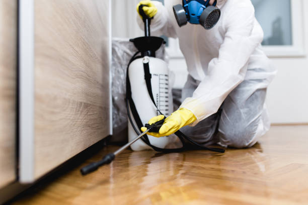 Flea Control Services in Danbury, CT