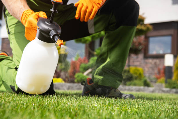 Best Flea Control Services  in Danbury, CT