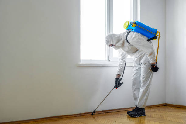 Best Residential Pest Control  in Danbury, CT