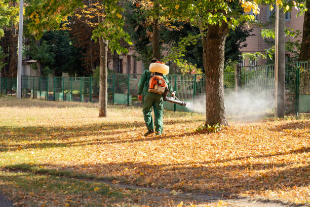 Best Rat Extermination Near Me  in Danbury, CT
