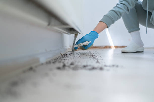  Danbury, CT Pest Control Pros