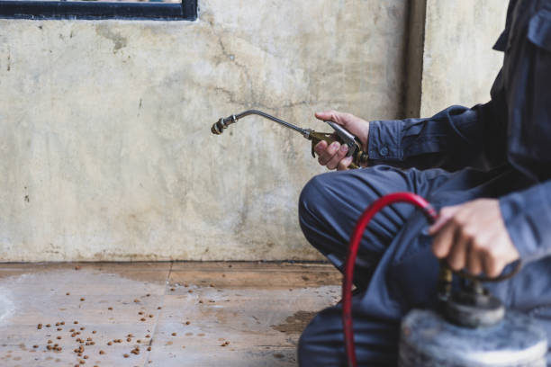 Best Pest Control for Homes  in Danbury, CT