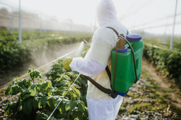 Flea Control Services in Danbury, CT